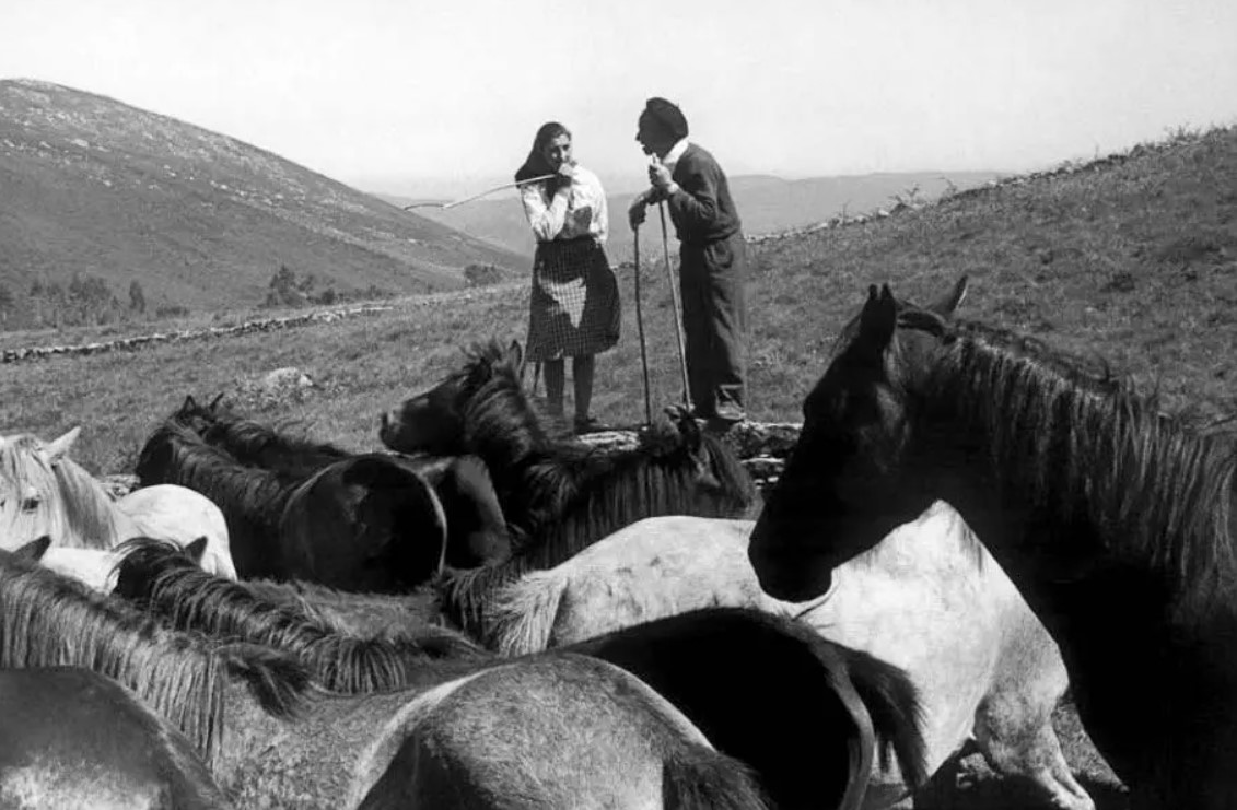 Imagen histórica de la Rapa das Bestas