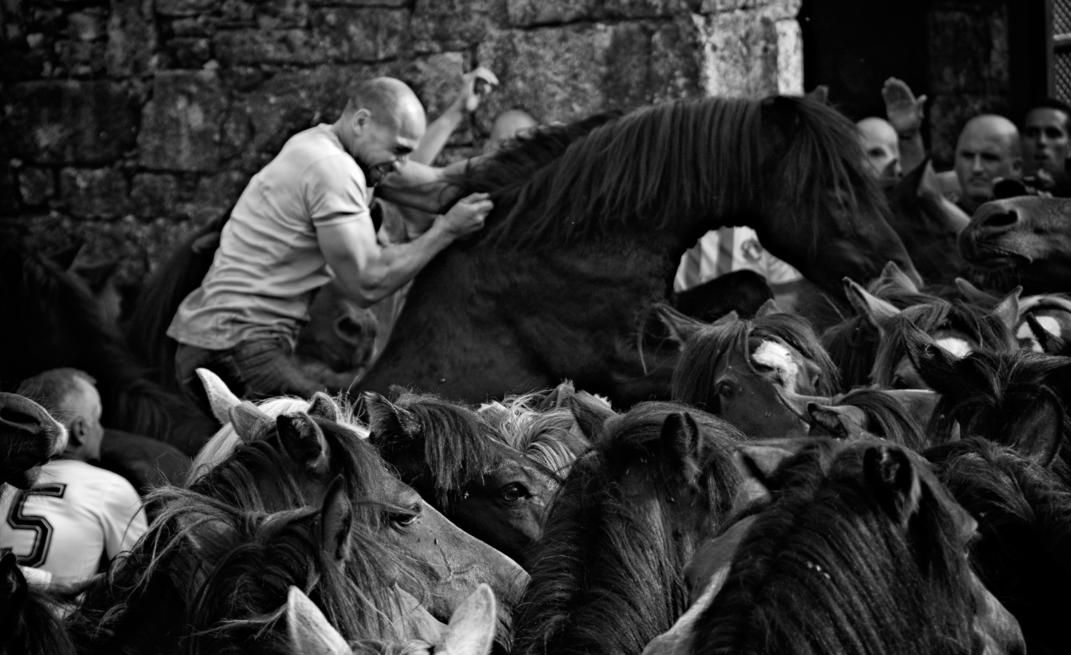 Imagen en blanco y negro de un aloitador montado sobre una de las bestas