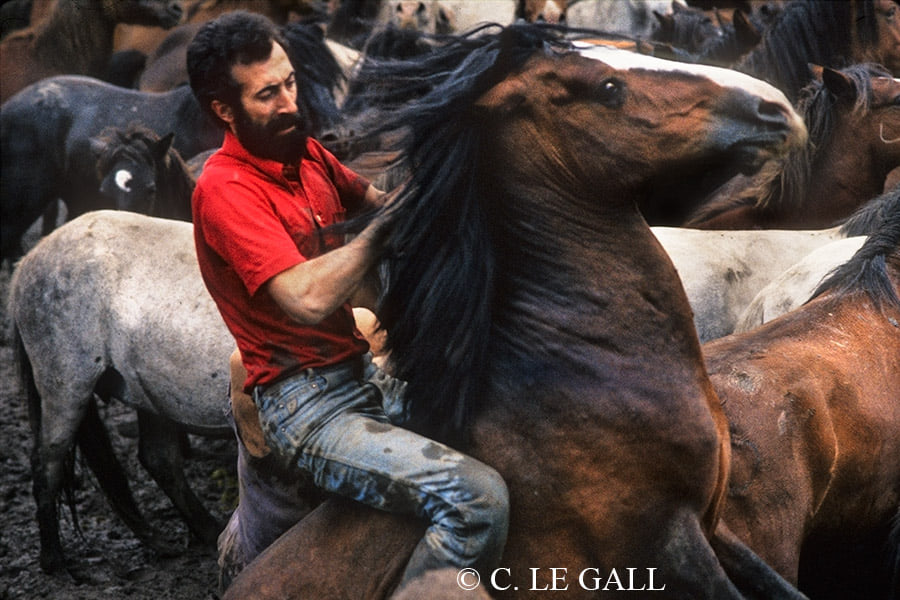 Hombre dentro del curro sobre un caballo