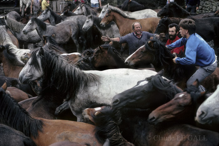Tres aloitadores rodeados de caballos