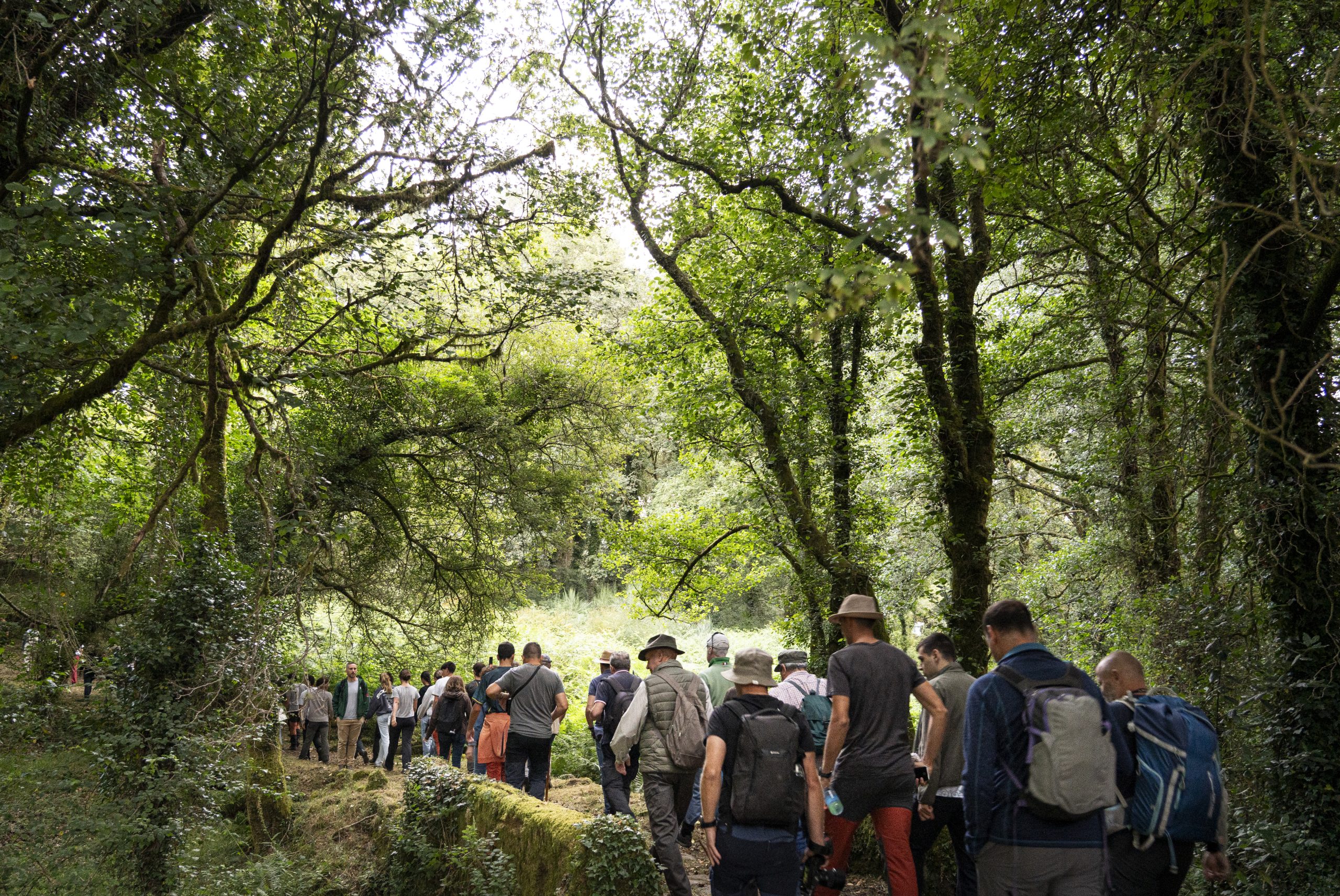 A subida ó monte