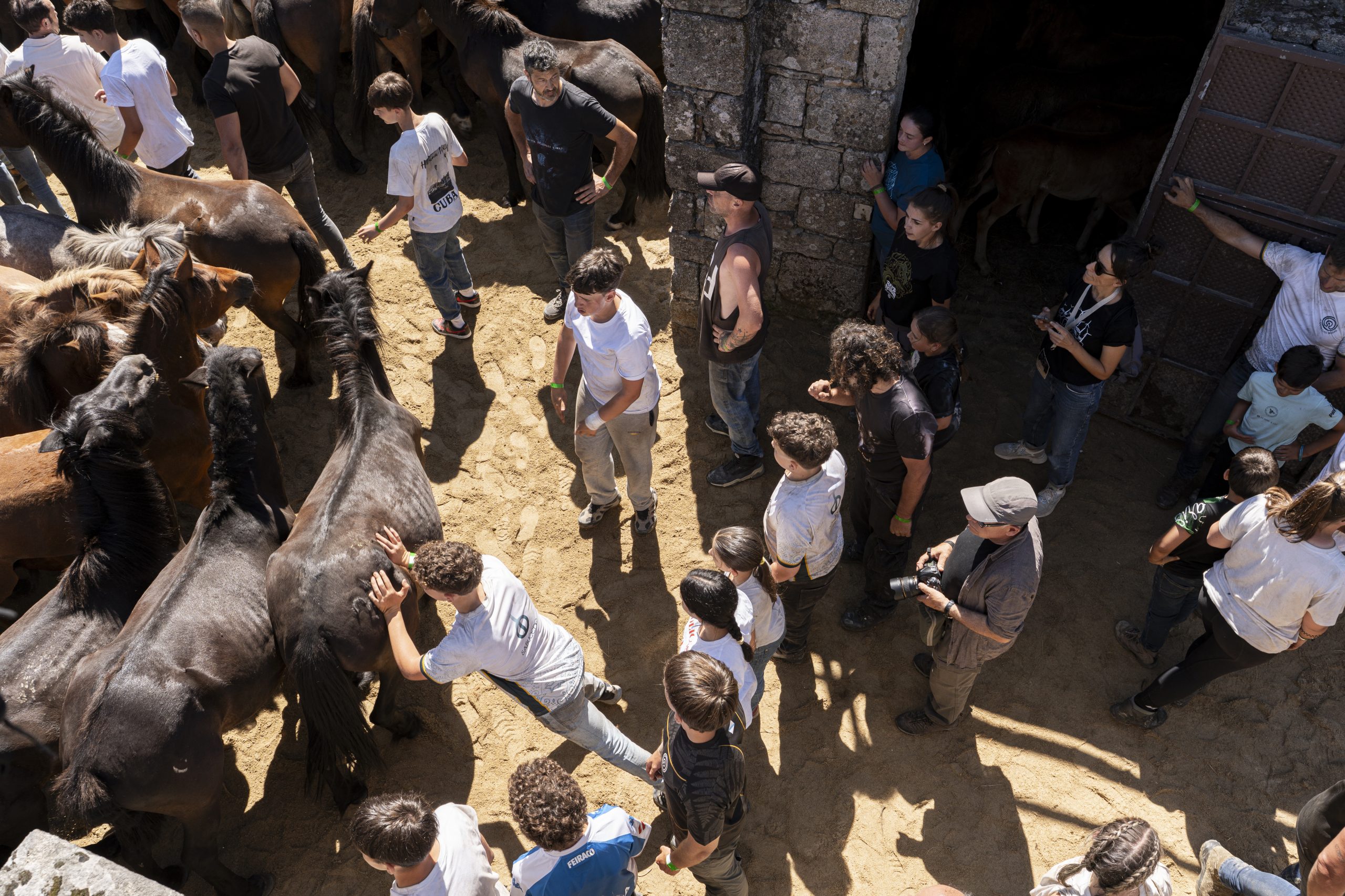 Aloitadores vendo as bestas no Curro